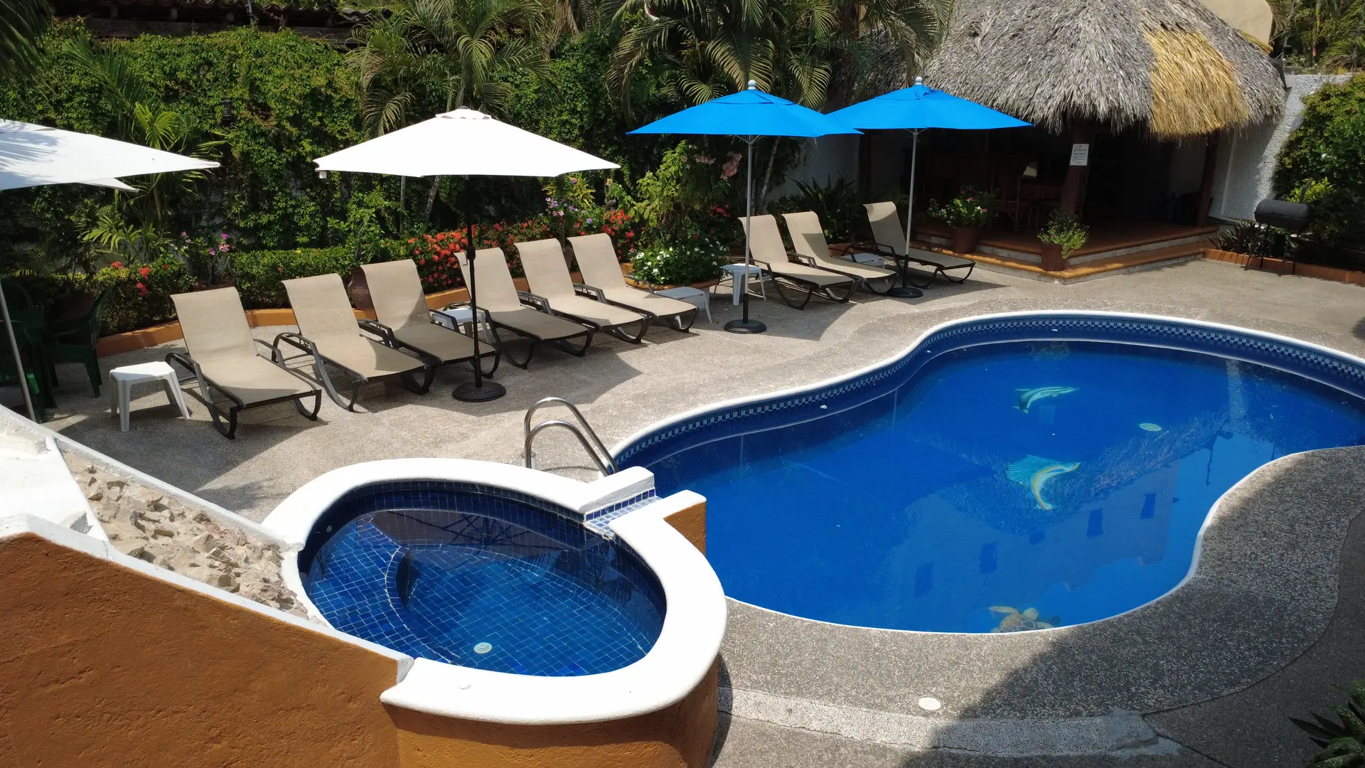 Pool and palapa at Hotel Villas Mercedes surrounded by a tropical garden