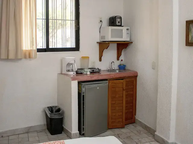 Room 3 with kitchenette at a La Madera Beach hotel, Zihuatanejo – photo 3