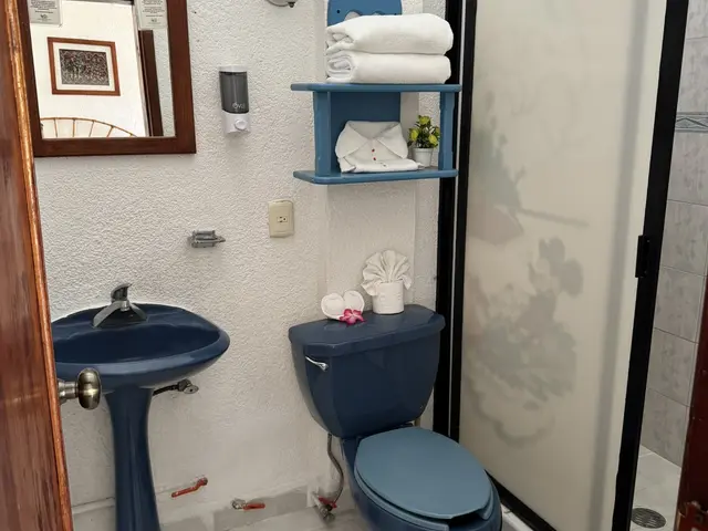 Room 5 with terrace and kitchenette at a La Madera Beach hotel, Zihuatanejo – photo 6